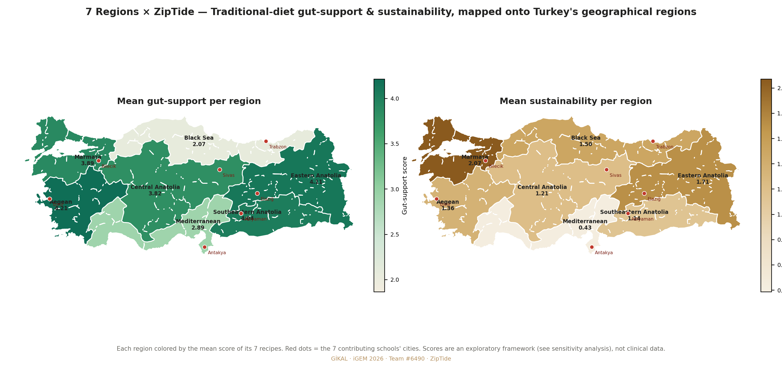 7 Bölge × ZipTide — bölgesel gut-destek ve sürdürülebilirlik haritası